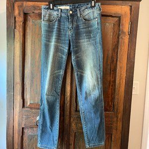 Pilcro by Anthropologie Boyfriend Straight Leg Jeans